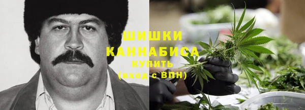 ешки Алексин