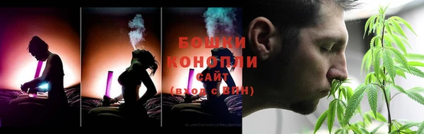 индика Михайловка