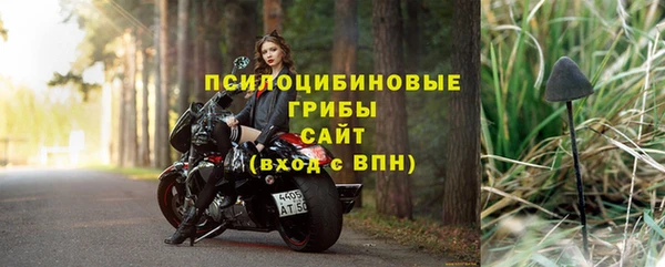 СК Абаза