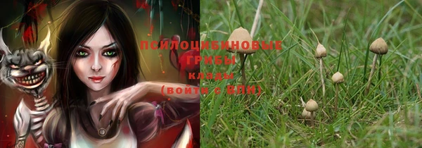 марки lsd Алексеевка