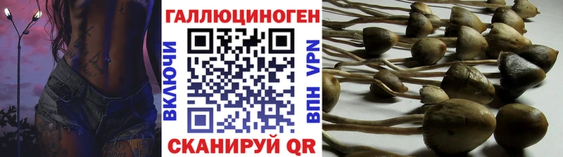 Псилоцибиновые грибы прущие грибы Ухта