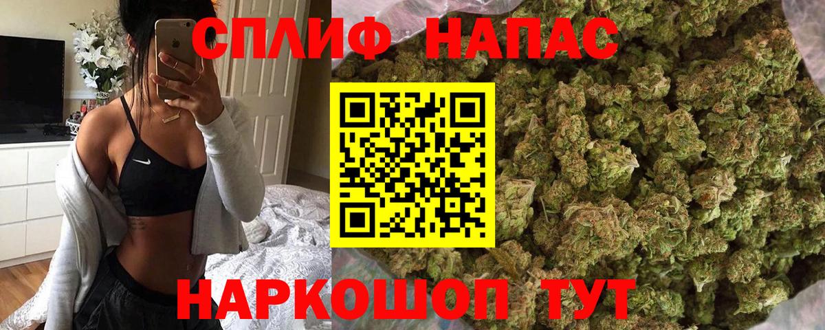 Бошки Шишки план Ухта